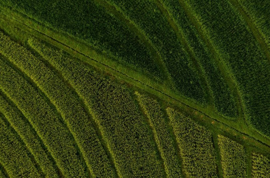 market expansion and competition